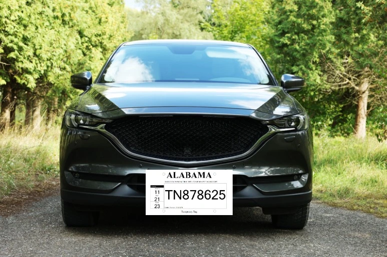Modelo de ejemplo de placas temporales en Alabama