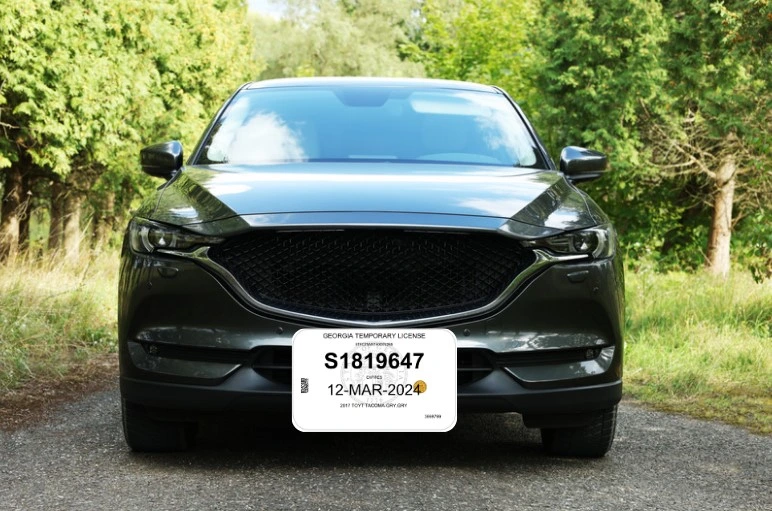 Modelo de ejemplo de placas temporales en Georgia