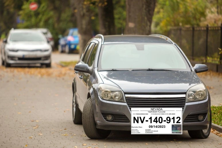 Modelo de ejemplo de placas temporales en Nevada